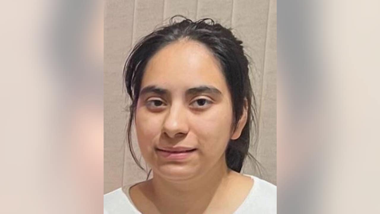 Kaitlyn Pantano, 32, Missing in Chicago, IL as Search Continues: Authorities Request Public Assistance Locating Local Woman